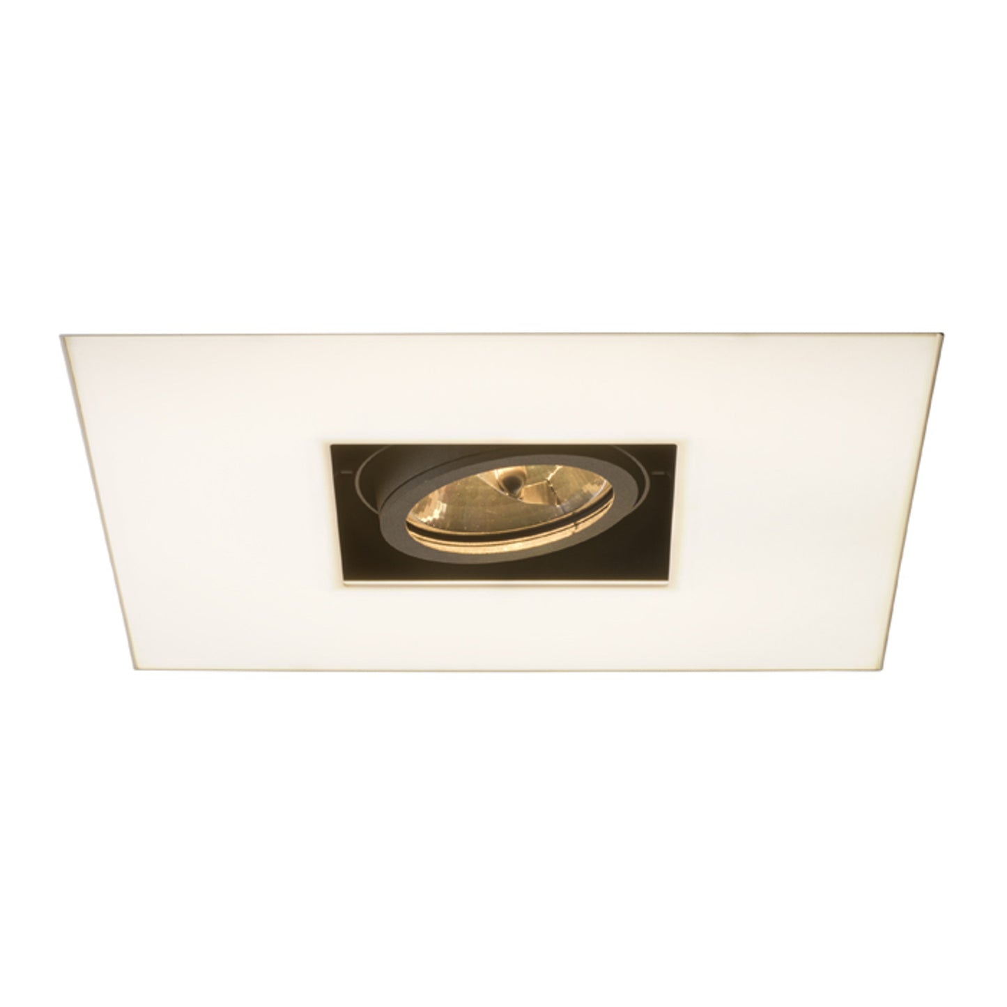 RENDL Outlet OFFICE TWIN recessed white 230V/12V 2GX13+G53 55+50W R10150 7