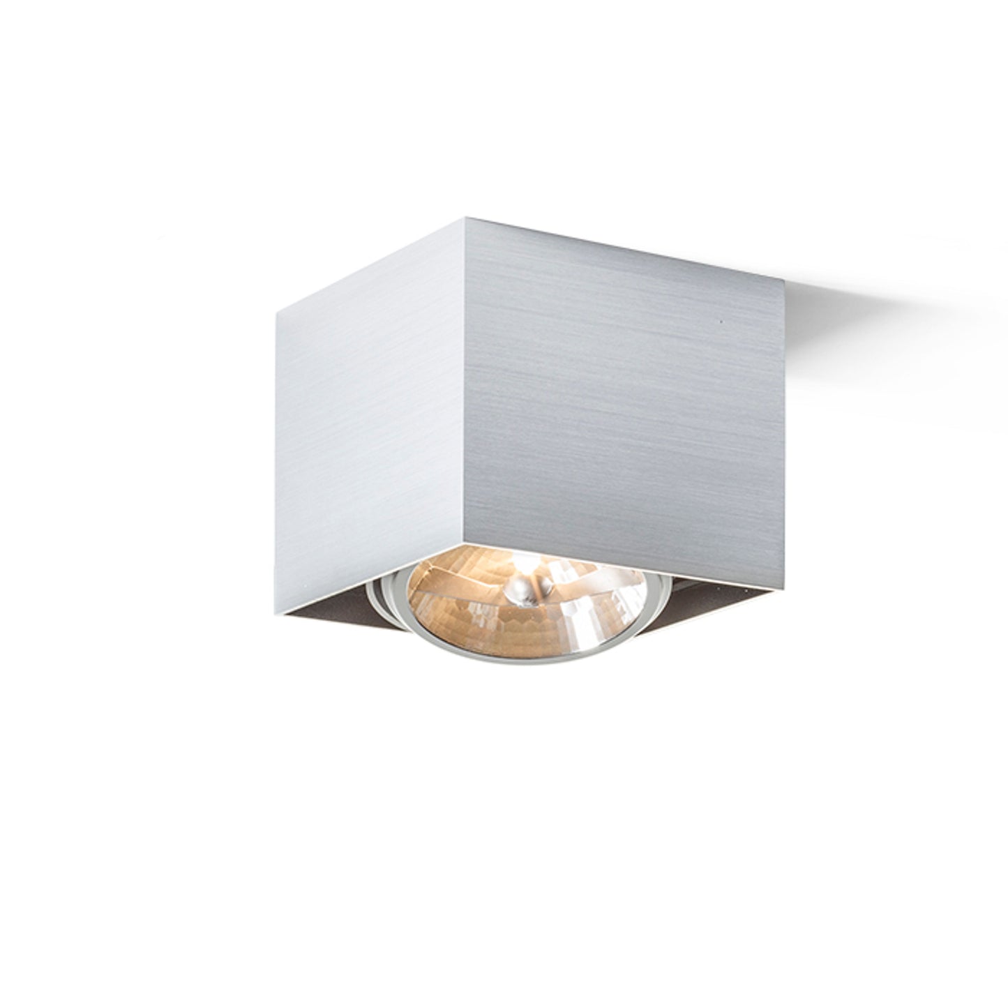 RENDL surface mounted lamp DEAN I brushed aluminum 230V/12V G53 50W R10610 1