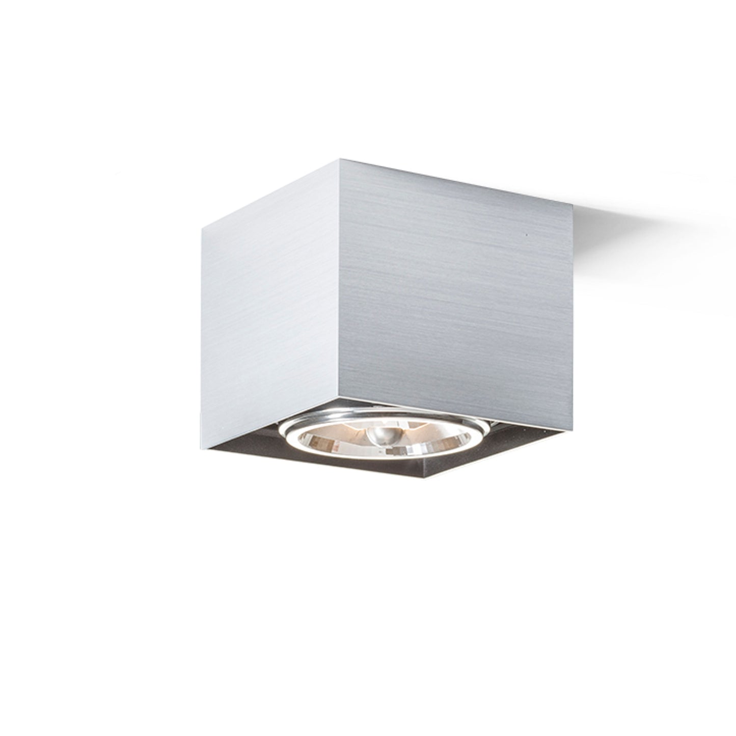 RENDL surface mounted lamp DEAN I brushed aluminum 230V/12V G53 50W R10610 2
