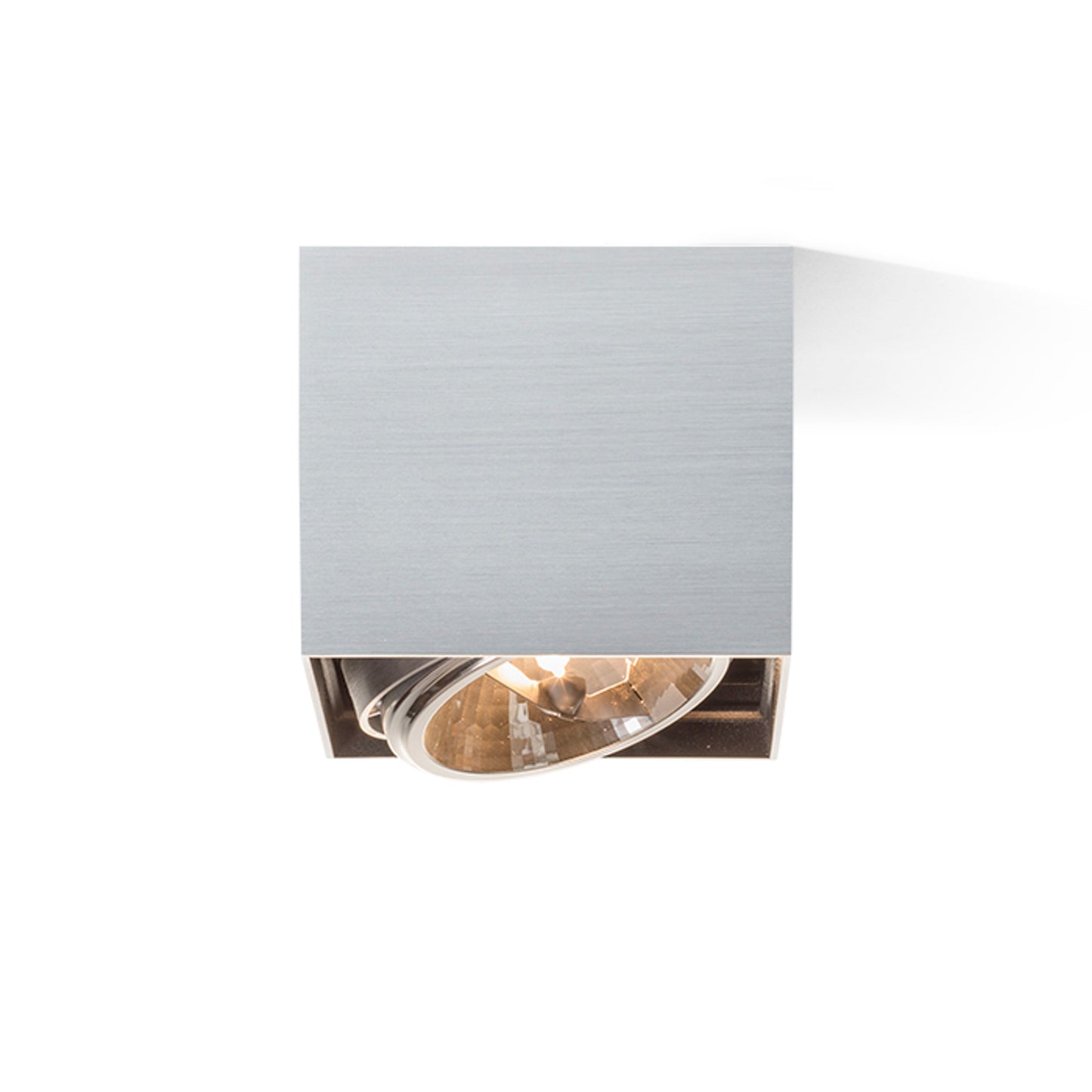 RENDL surface mounted lamp DEAN I brushed aluminum 230V/12V G53 50W R10610 3