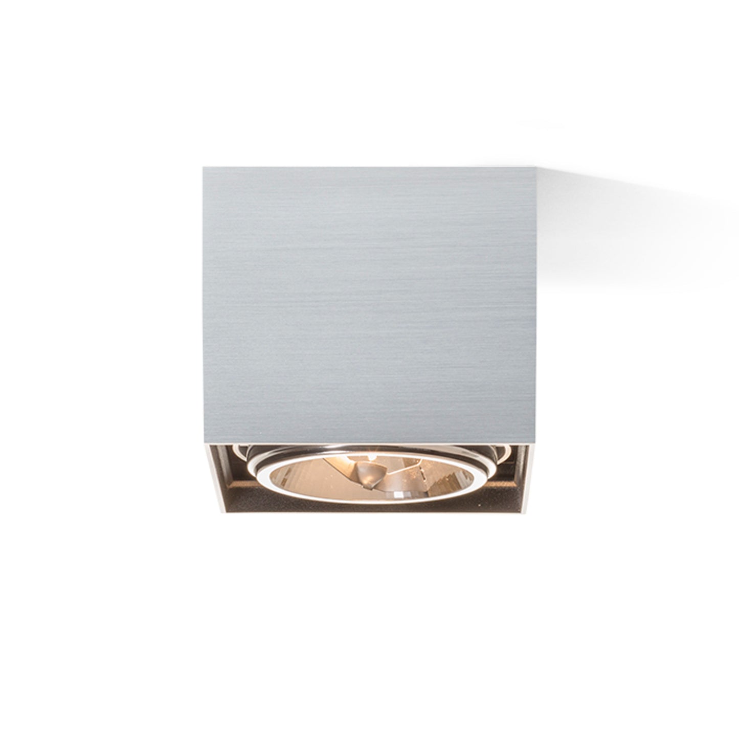 RENDL surface mounted lamp DEAN I brushed aluminum 230V/12V G53 50W R10610 4