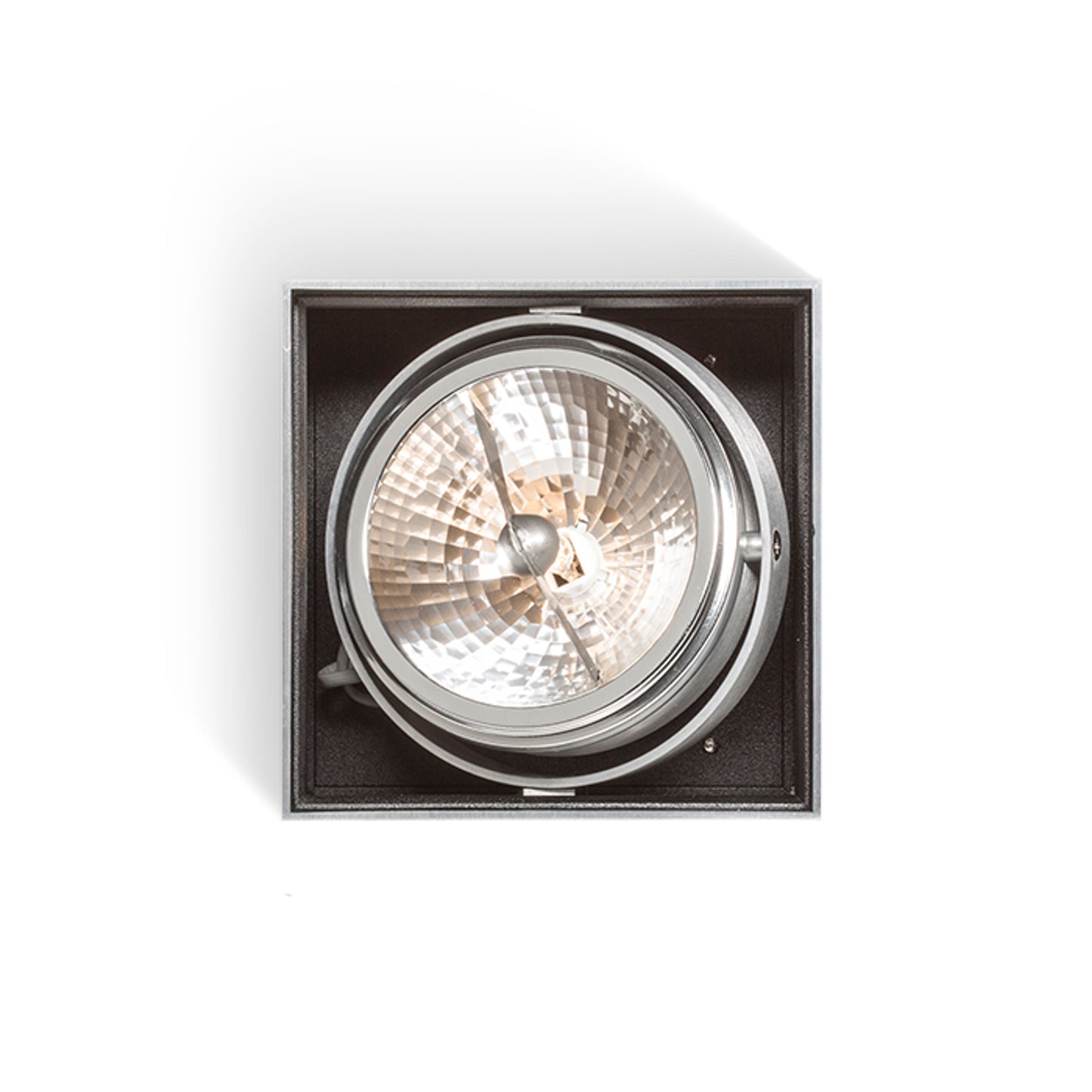 RENDL surface mounted lamp DEAN I brushed aluminum 230V/12V G53 50W R10610 5