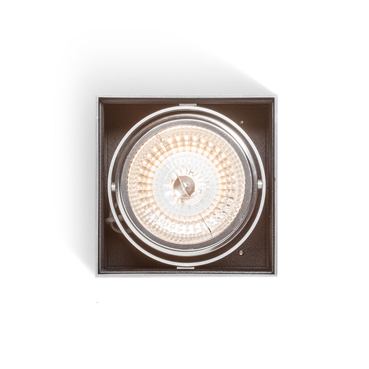 RENDL surface mounted lamp DEAN I brushed aluminum 230V/12V G53 50W R10610 6