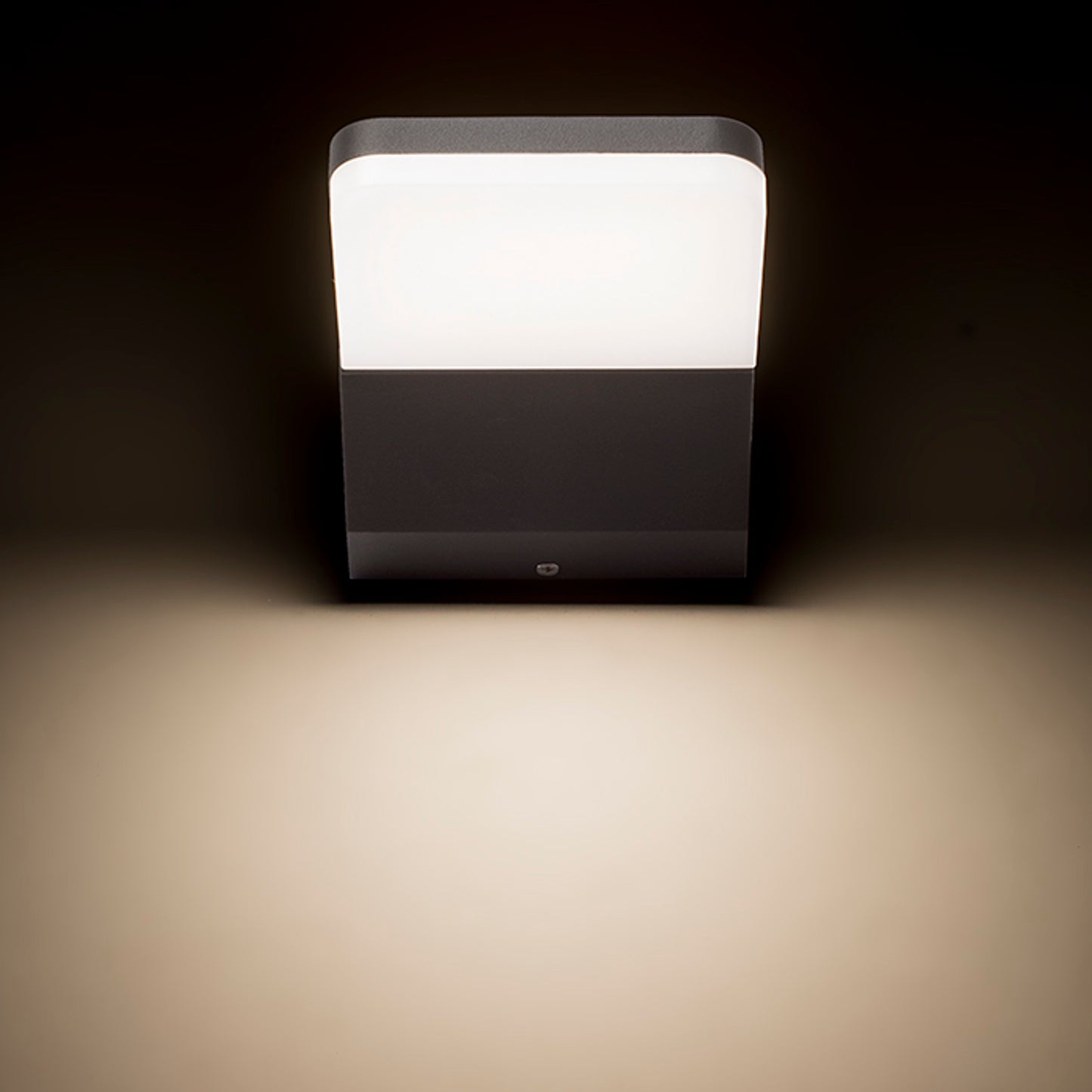 RENDL outdoor lamp VIRGO wall anthracite grey 230V LED 9W IP65 3000K R11946 8