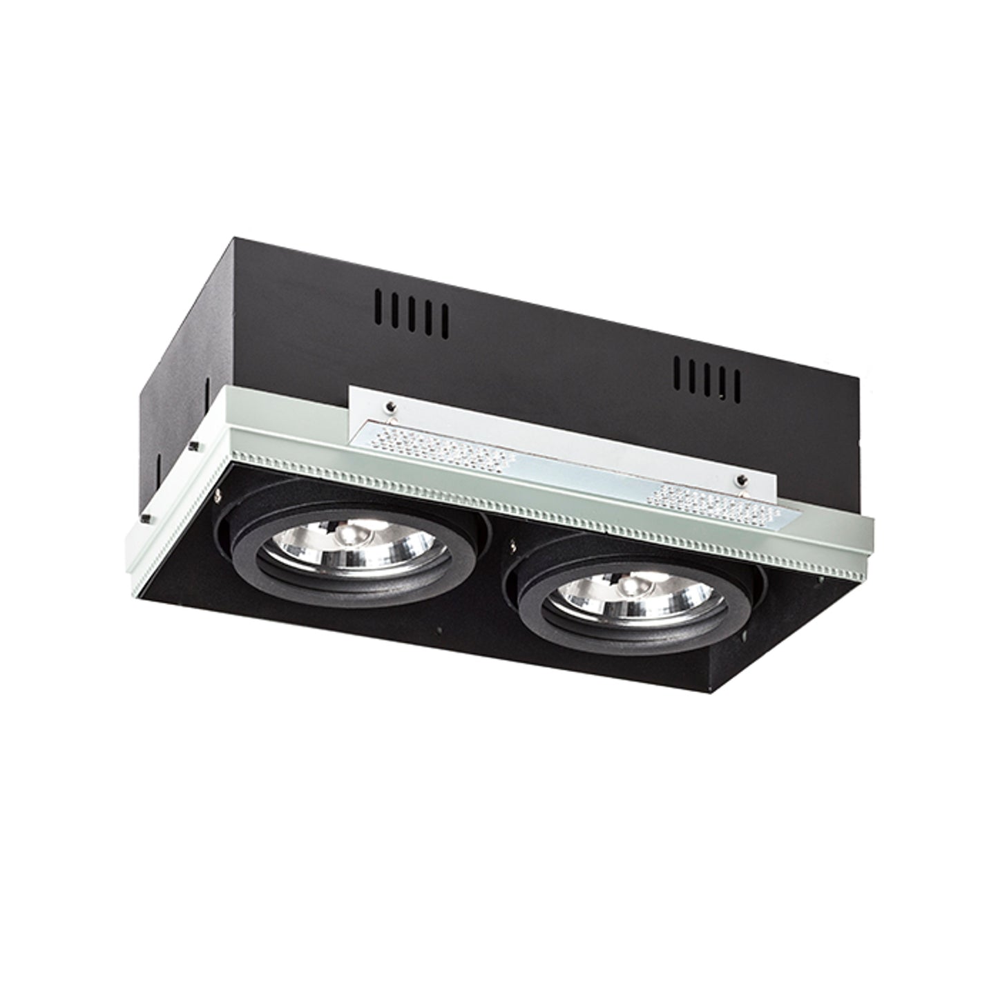 RENDL recessed light ELECTRA II black 12V LED G53 2x15W R12051 3