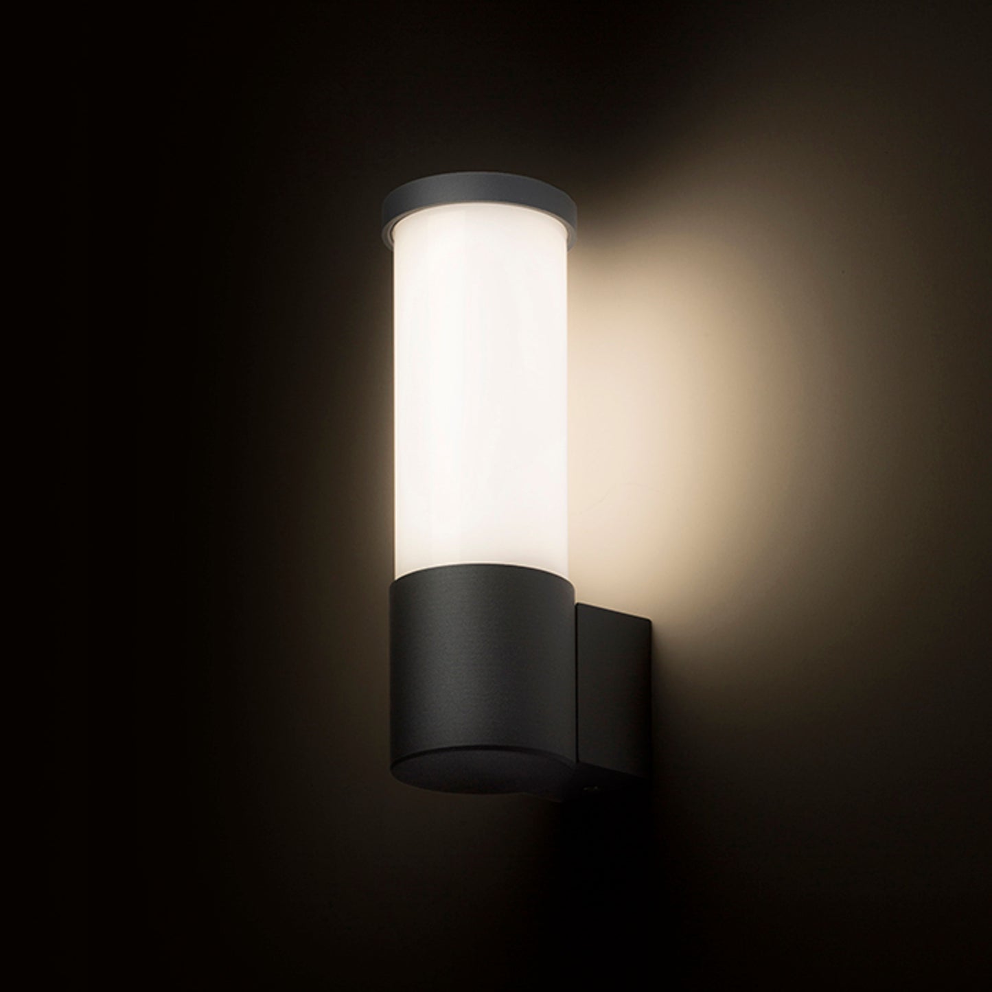 RENDL outdoor lamp GARRET wall anthracite grey 230V LED 15W IP65 3000K R12548 3