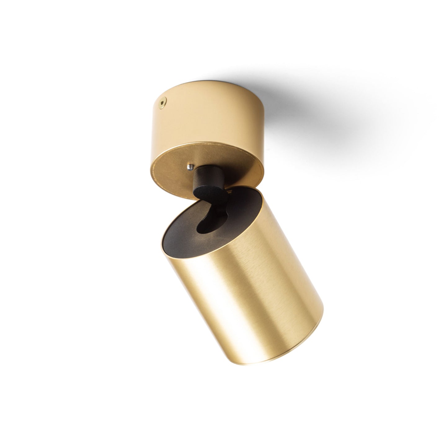RENDL spotlight DARIO ceiling brushed brass 230V LED GU10 9W R13869 3