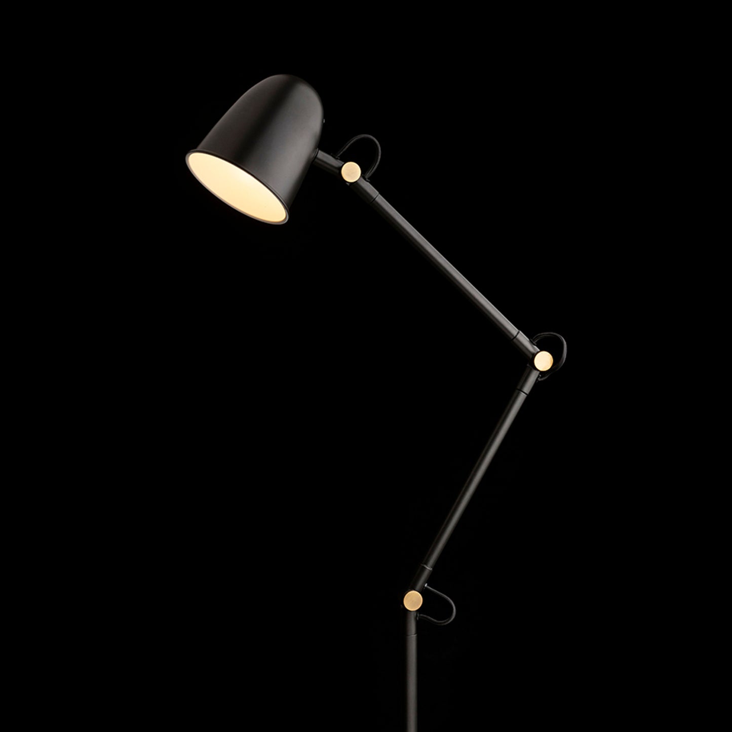 RENDL floor lamp DANNY floor black brass 230V LED E14 5W R14190 4
