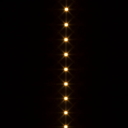 RENDL LED-strip LED STRIP IP20 5m    12V= LED 60W  3000K G12366 3