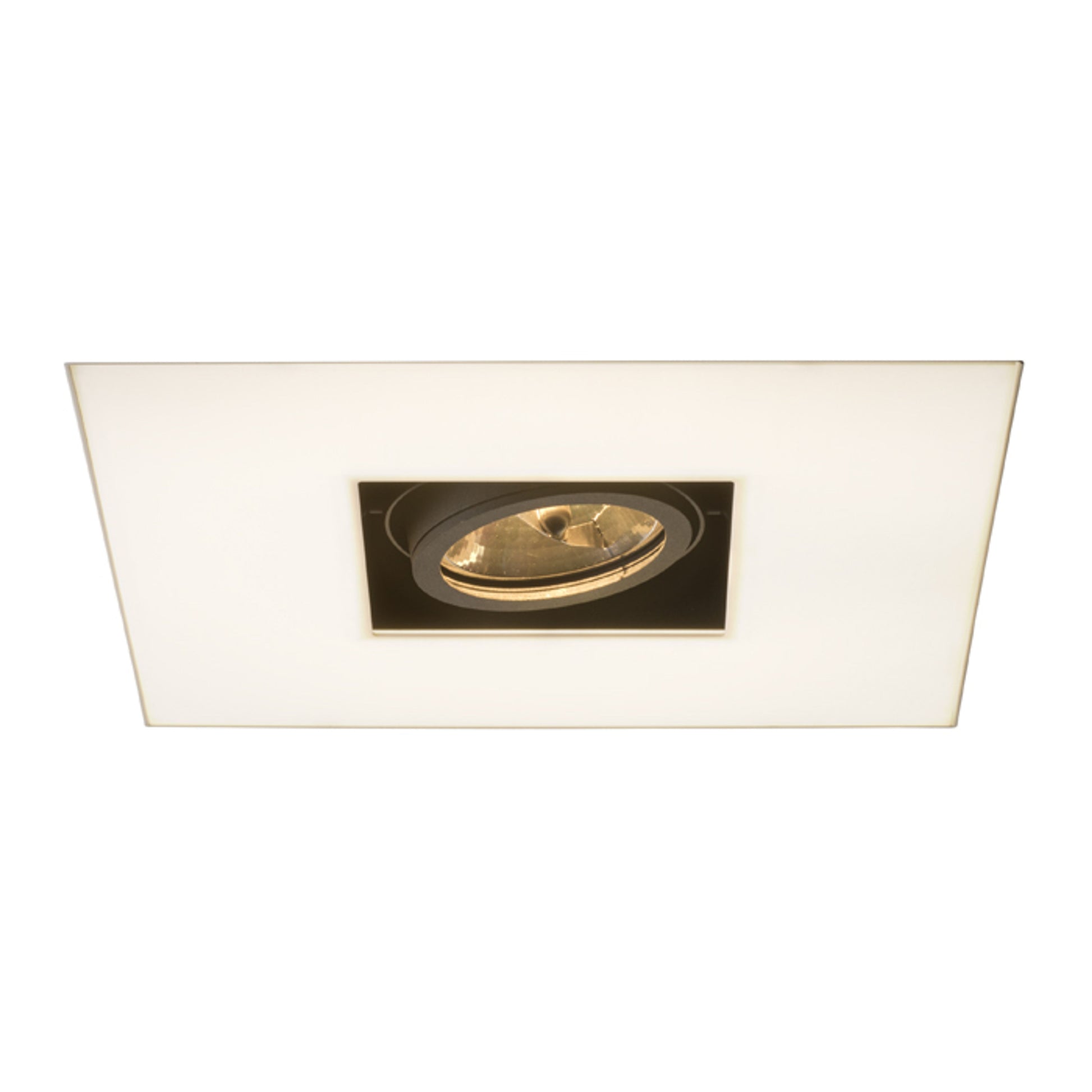 RENDL Outlet OFFICE TWIN recessed white 230V/12V 2GX13+G53 55+50W R10150 7