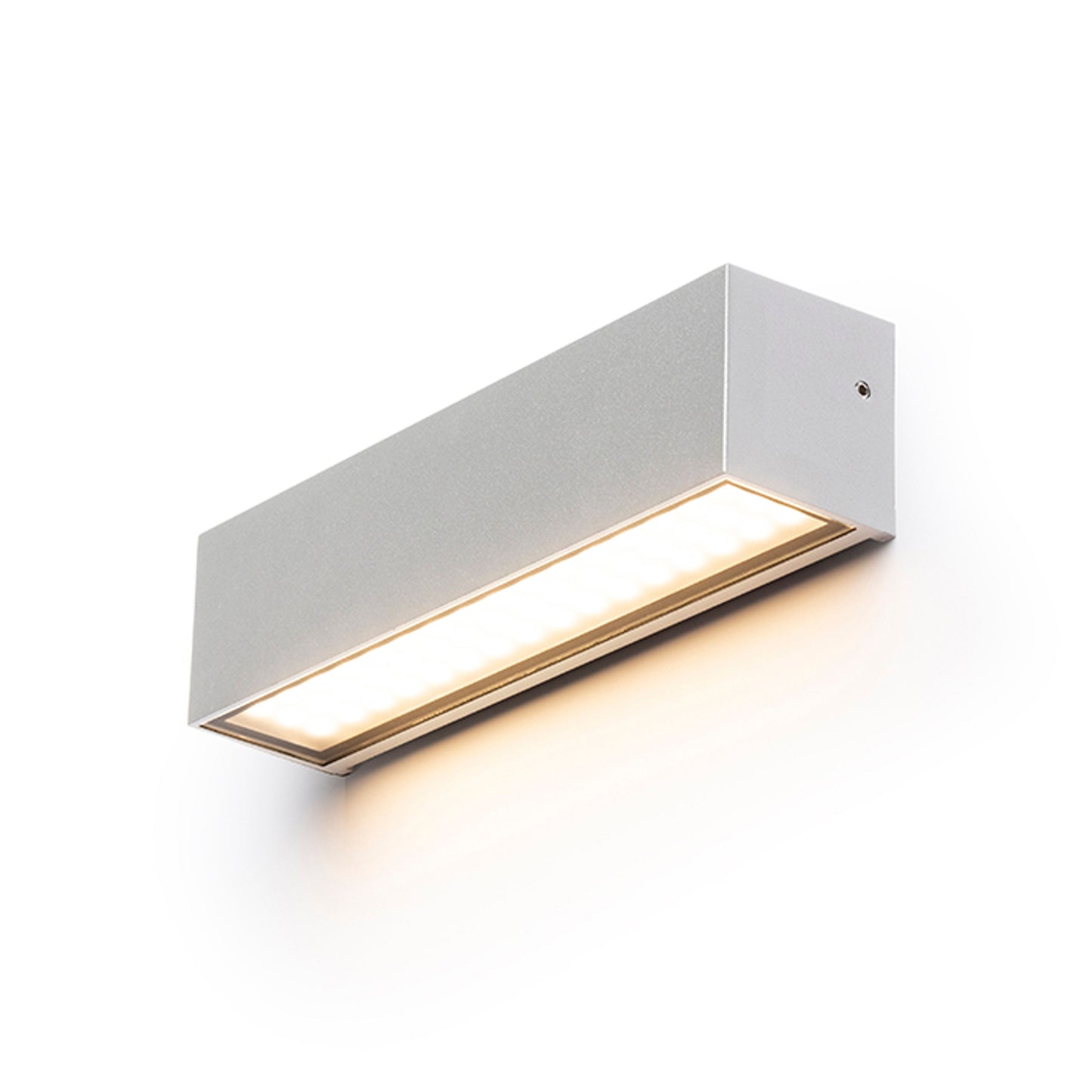 RENDL outdoor lamp CAMARGUE wall silver grey satinated glass 230V LED 6W IP65  3000K R13527 1