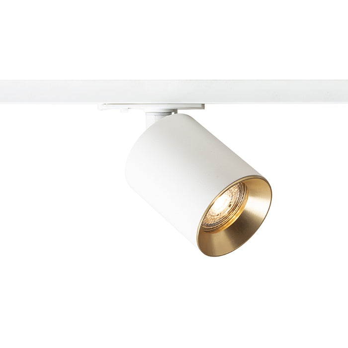 RENDL 1-circuit track system DARIO for 1-circuit tracks white brushed brass 230V LED GU10 9W R13870 1