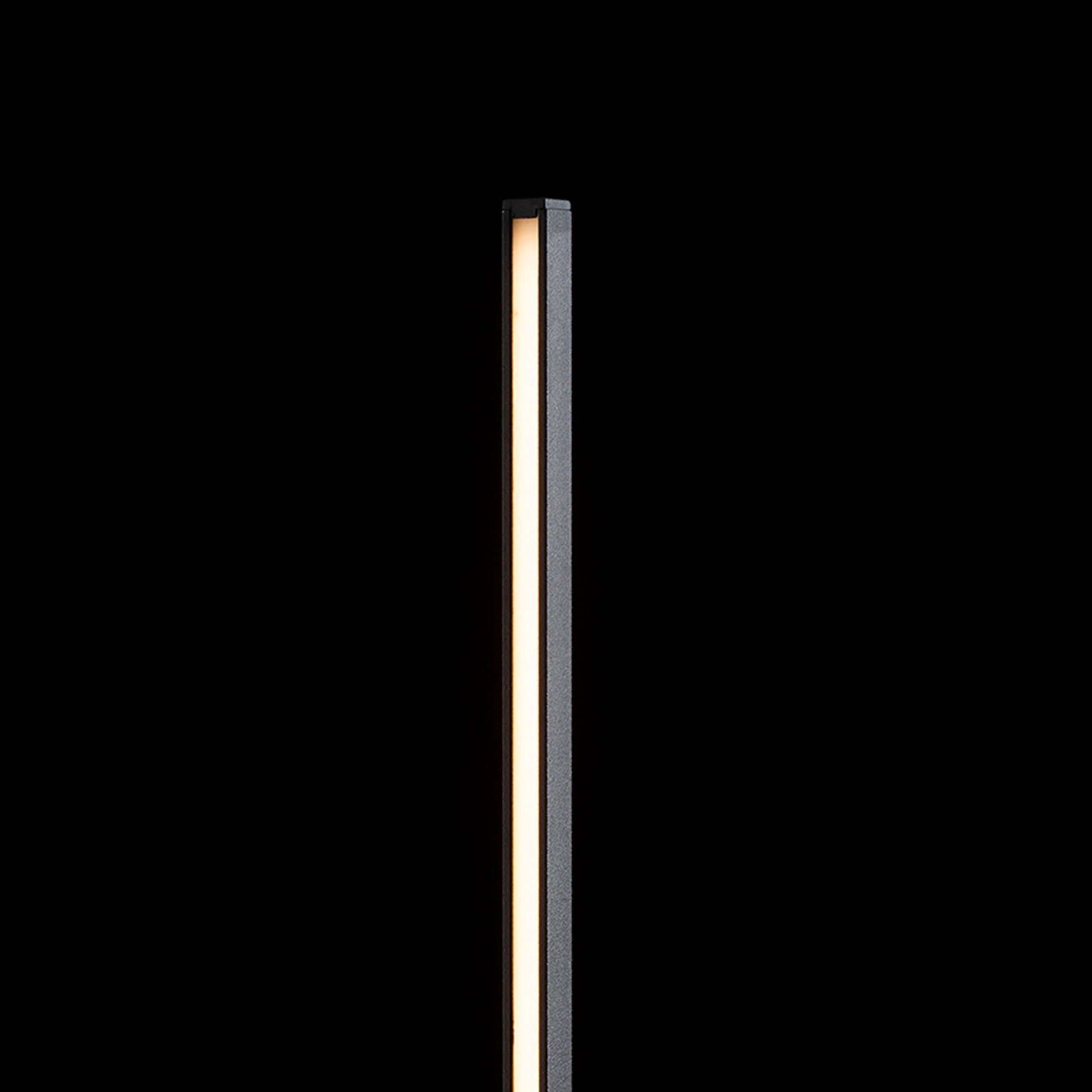 RENDL floor lamp ANEMONA 120 floor black 230V LED 15W 3000K R14184 4
